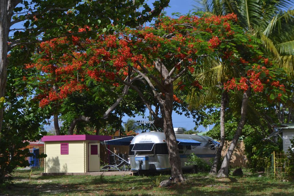 Airstream Paradise Bernard Εξωτερικό φωτογραφία